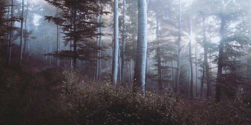 上海B2B销售流程优化培训：构建从线索到回款的标准化体系，赋能销售团队建设