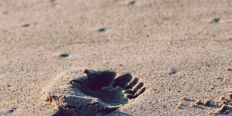 上海奢侈品销售培训进阶：深度洞察客户心理与私域流量精细运营策略