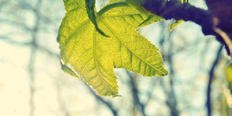 上海工业品销售实战培训：如何构建能攻克复杂技术型产品的解决方案销售团队