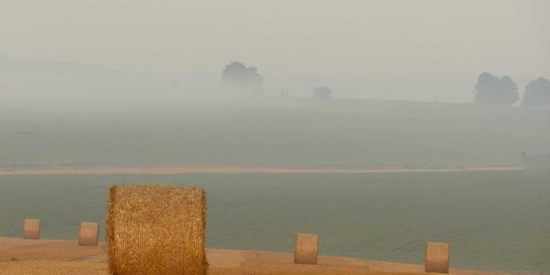 上海汽车行业大客户销售培训：构建精英团队，掌握企业车队与政府采购的投标决胜技巧