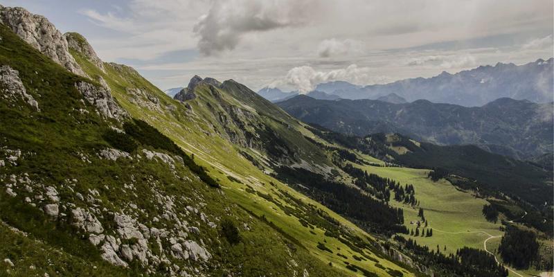 上海渠道管理与经销商赋能培训：构建共赢销售网络，驱动企业持续增长