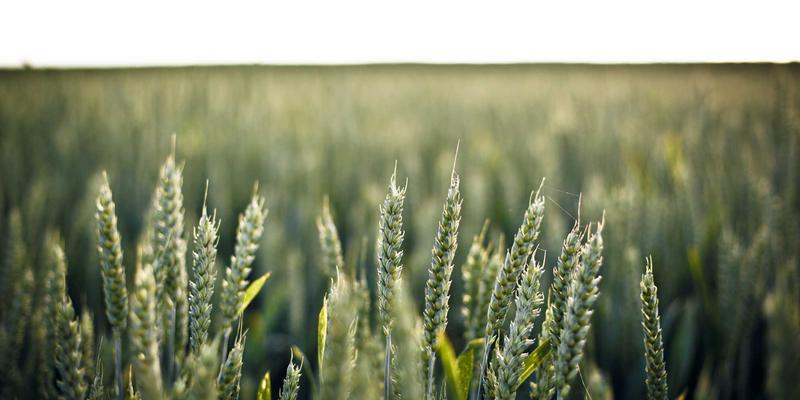 上海软件及SaaS销售培训：订阅制模式下的客户成功与续约增购营销策略