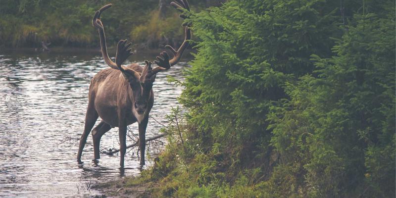 上海销售培训21：赋能企业培训与营销服务，打造高绩效销售团队建设新范式