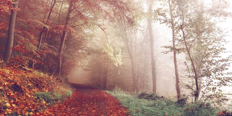 上海销售培训23：赋能企业销售团队建设，驱动业绩长效增长