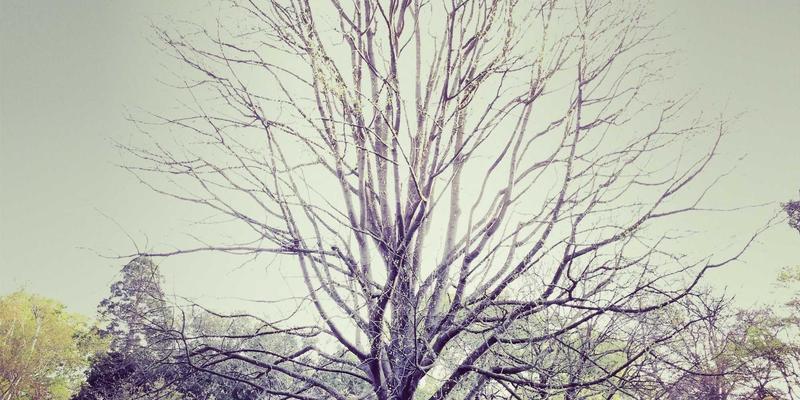 上海销售培训68：掌握核心销售技巧，升级企业营销服务体系