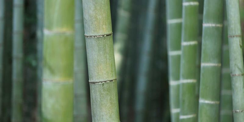上海销售培训78:赋能企业销售团队建设与业绩突破的实战指南