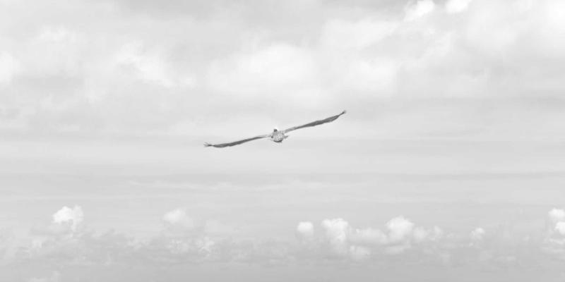 上海销售培训93：赋能营销服务，打造高绩效销售团队的三大核心技巧