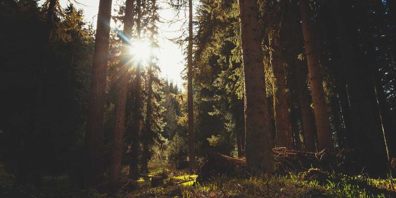 上海销售培训新焦点：新能源时代汽车销售顾问的进阶指南