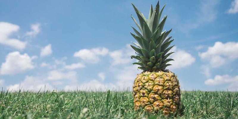 上海销售培训新范式：以流程优化与漏斗精细化管理驱动业绩增长