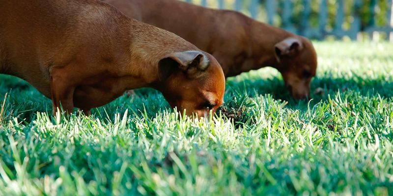 上海销售培训：赋能企业精英，掌握决胜市场的核心销售技巧