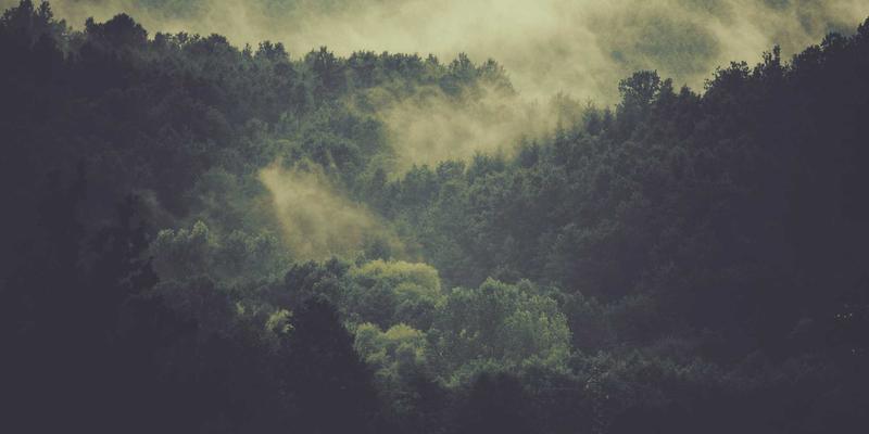 上海销售心理学与行为洞察培训：破解客户决策黑箱，驱动业绩增长