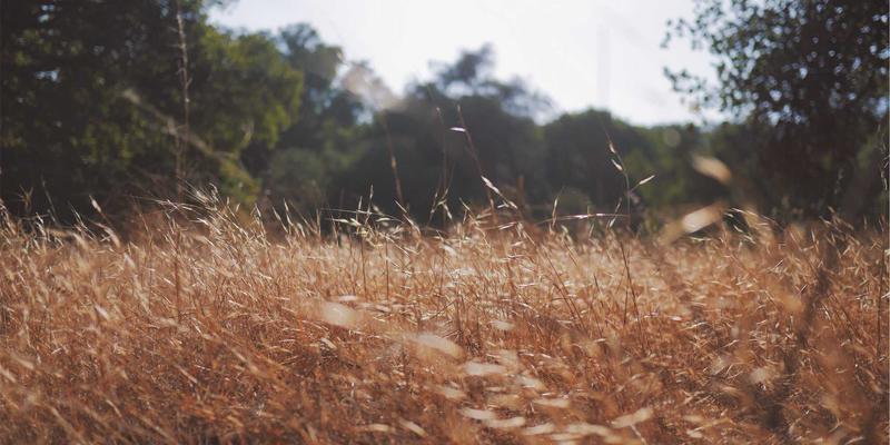 上海销售预测与业绩管理培训：掌握数据洞察，精准达成销售目标